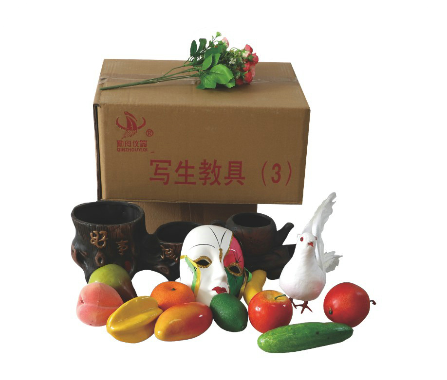 QZ-M216寫(xiě)生教具（三）